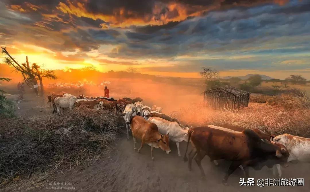 15个你不知道的颜色冷知识,10条你不知道的韩国冷知识