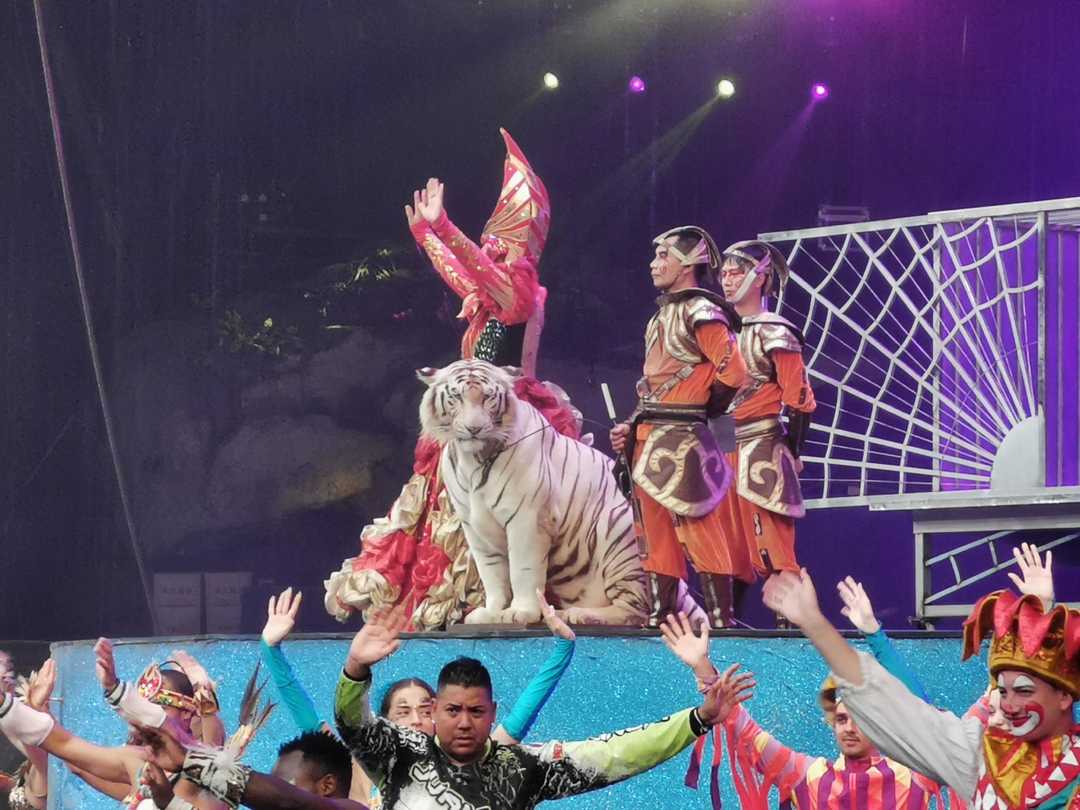 和家人一起去长隆,四月和朋友们来长隆动物园