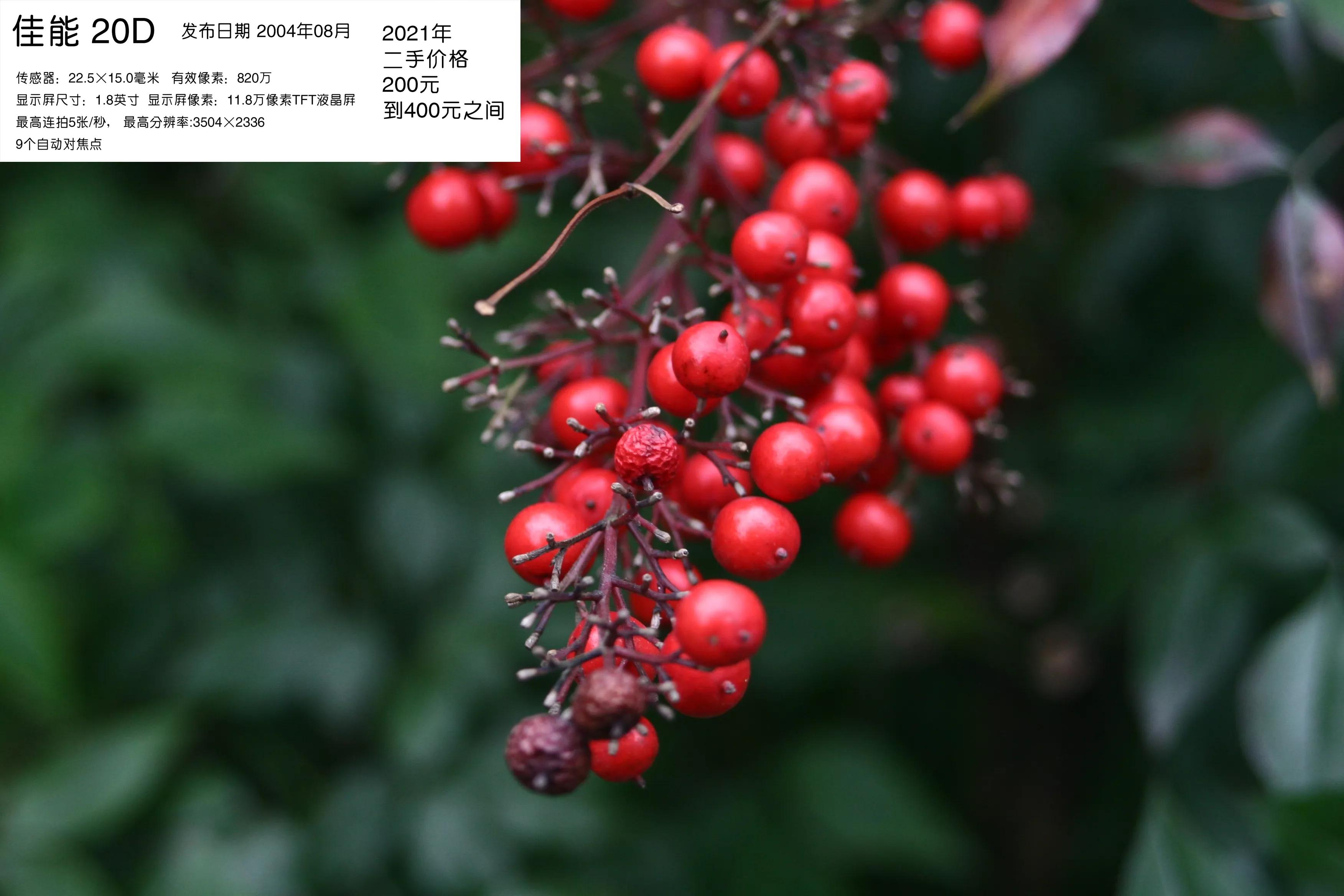 去学摄影花费2w到底值不值得,想学摄影不知道从哪里入手