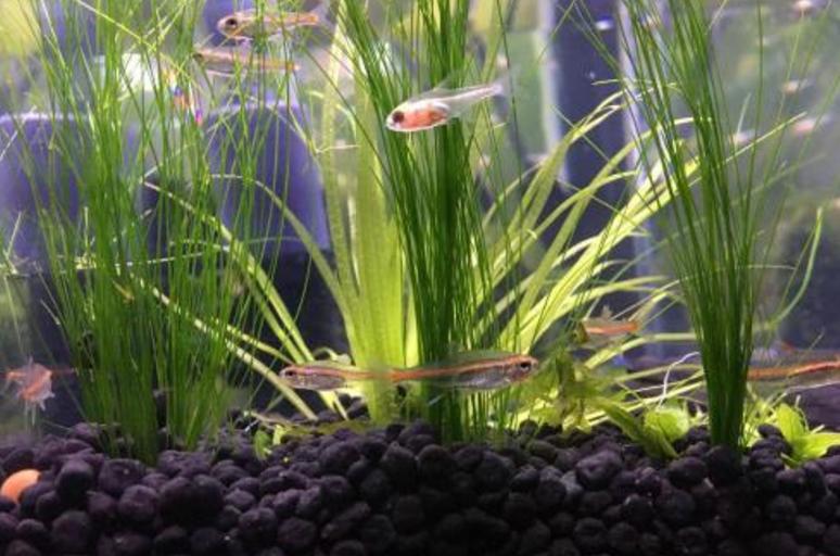 最好的冷却水箱,一般用多大的水箱好