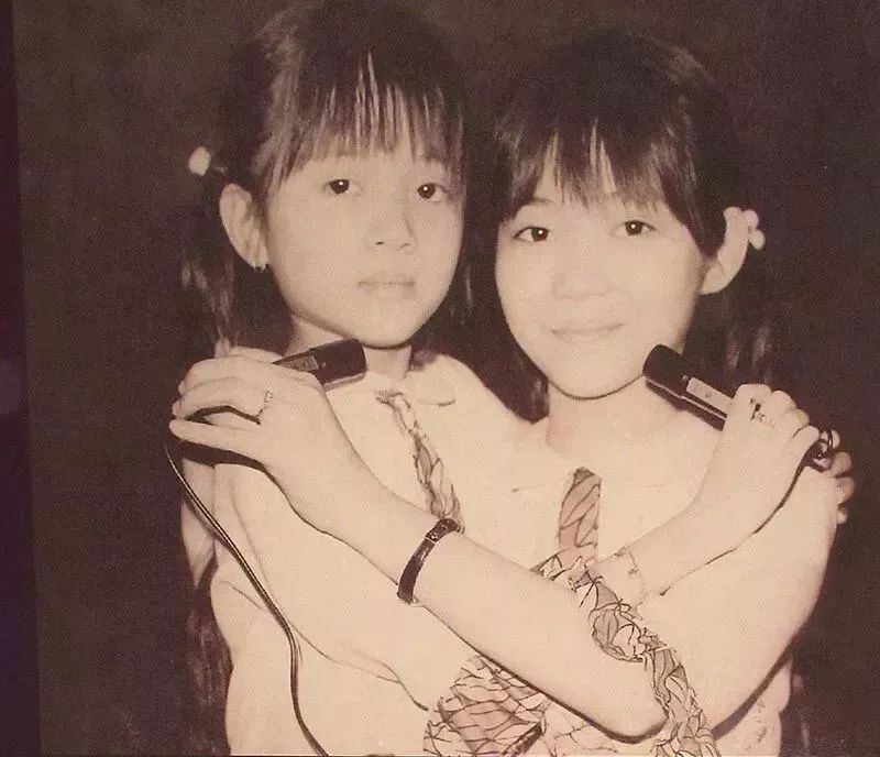 梅艳芳一生有多少孩子,梅艳芳一生爱你千百回