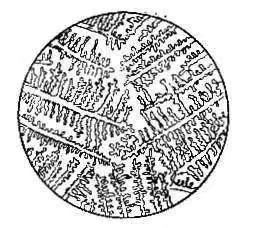 女性阴道炎科普知识,私密妇科养护