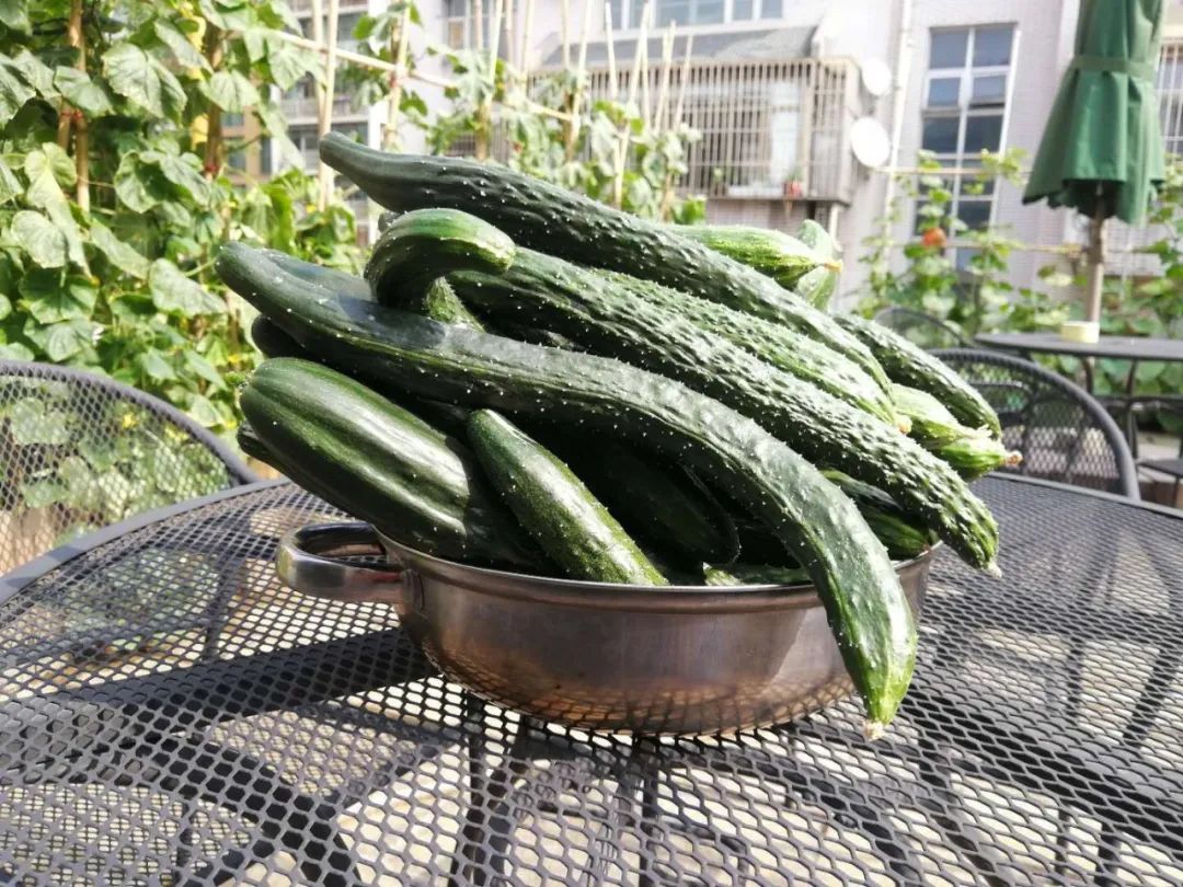 关键之道体育怎么样,关键之道体育