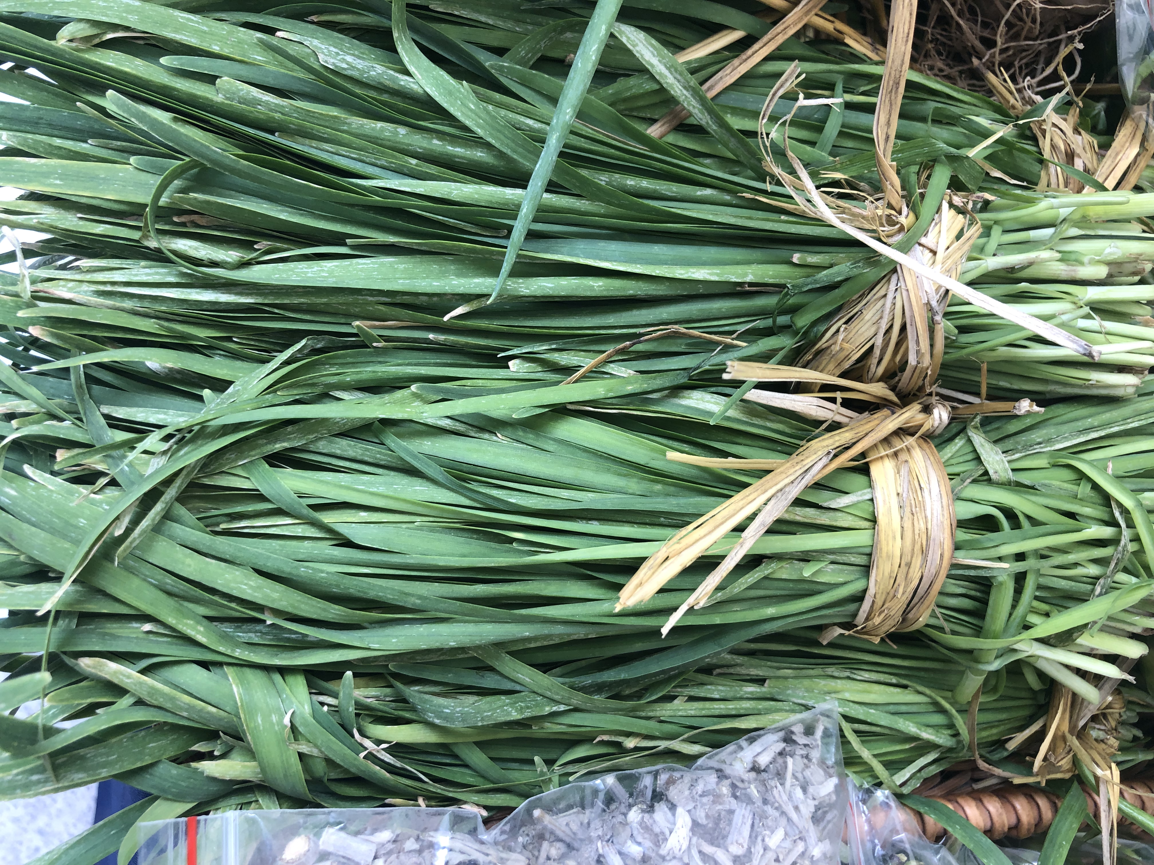 种韭菜一定要相信科学,韭菜可以反复种植吗