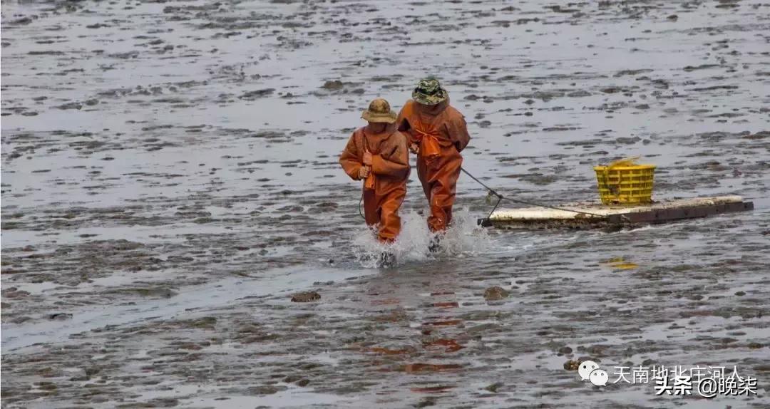 大连庄河赶海排名第一名,庄河赶海网红视频
