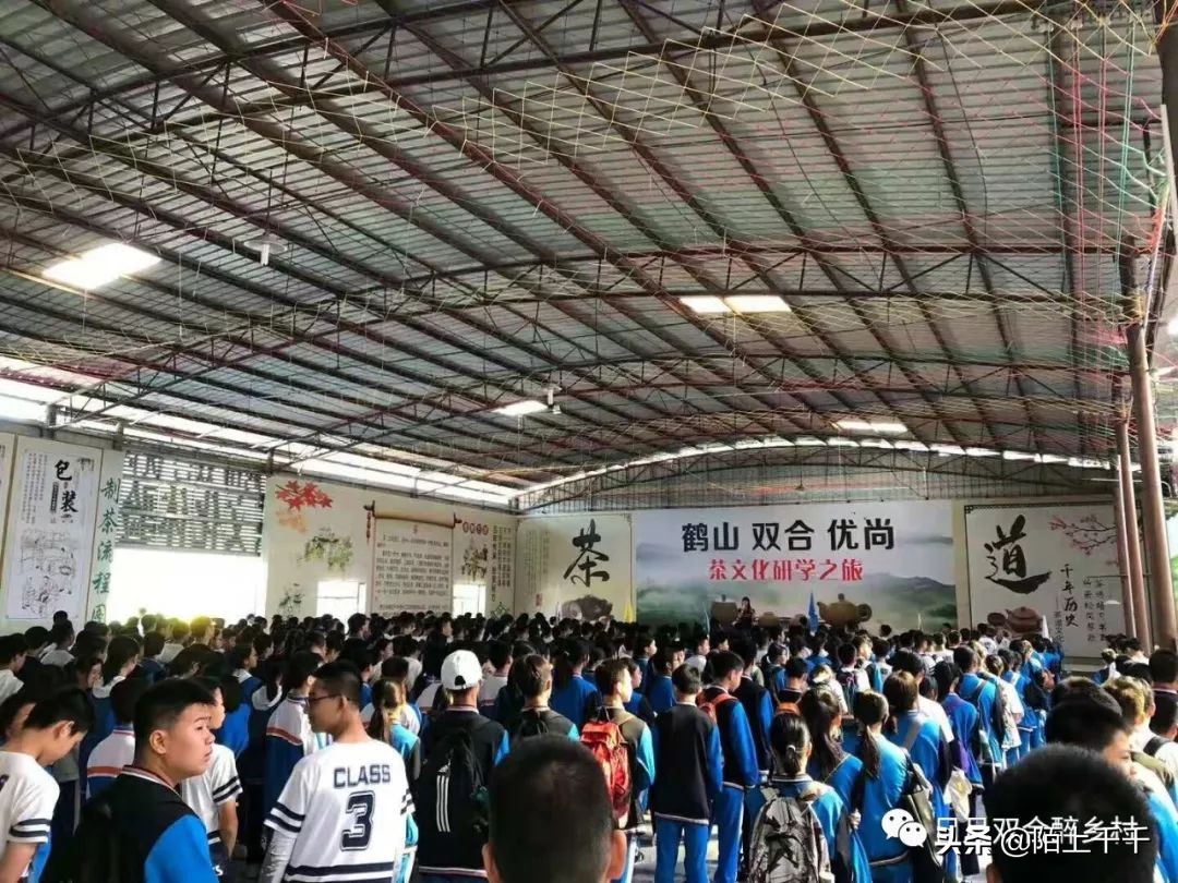 鹤山双好茶韵农耕研学基地值不值,江门茶文化研学基地