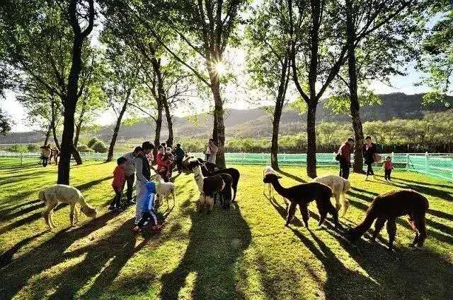 大连六一去哪儿玩,六一大连有免费玩的地方吗