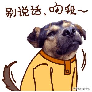 520究竟是什么节呀,520和521节日可以一起过吗