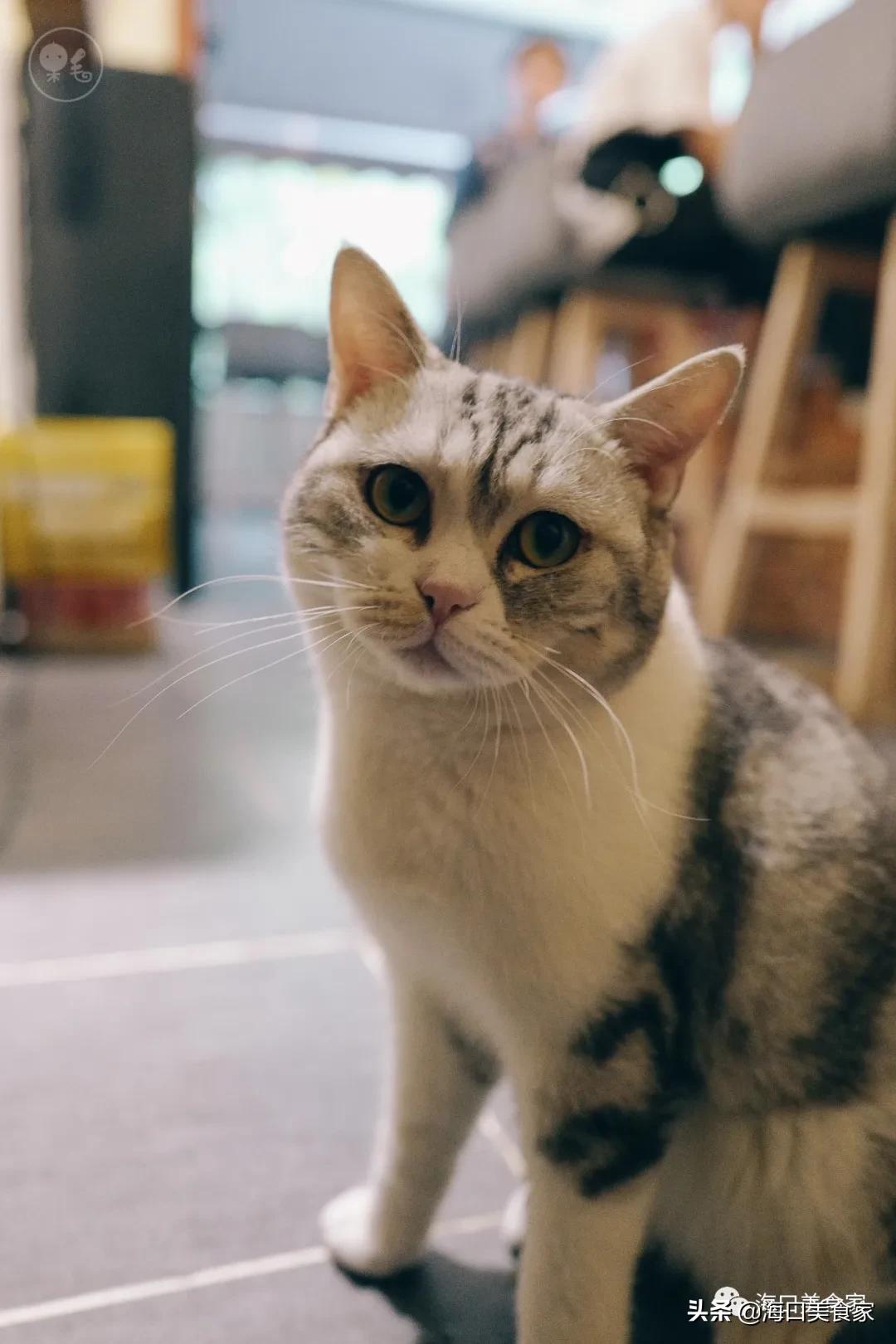 海口风很大,海口最近风大吗