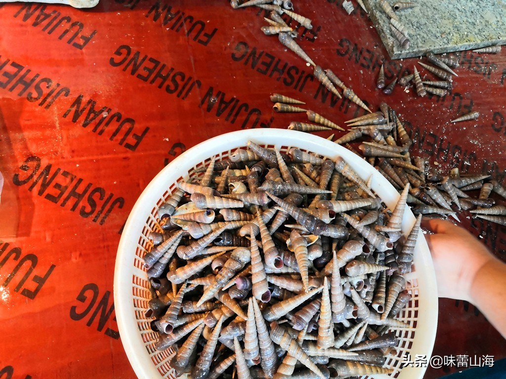 辣炒钉螺冷吃,辣炒钉螺的正确吃法图解