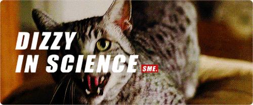 怎样催眠小猫咪,如何催眠一只小猫咪