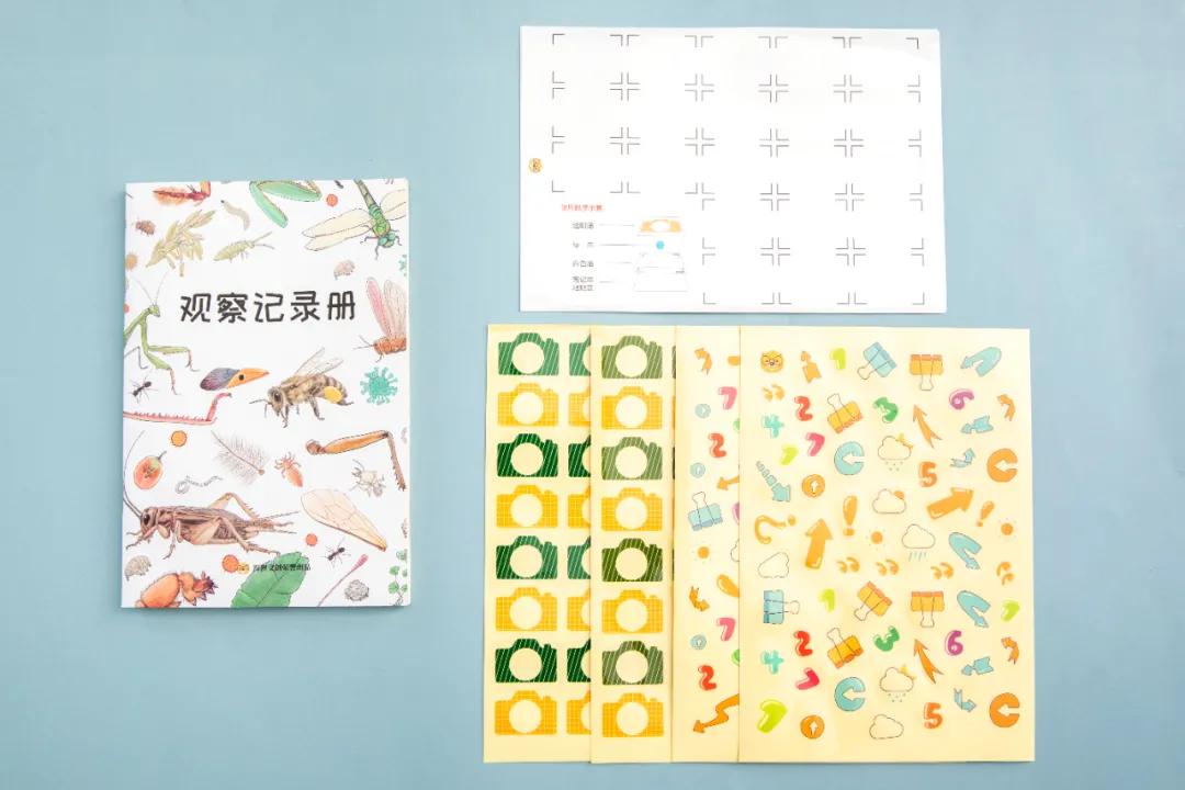 暑假孩子玩手机不如打篮球吧,儿童显微镜放大蚂蚁120倍