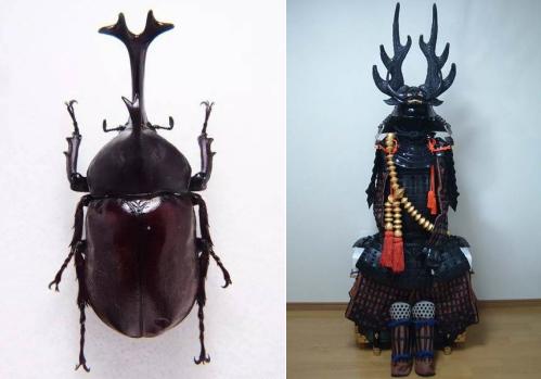 “人生能几何，毕竟归无形”——铁甲战士独角仙