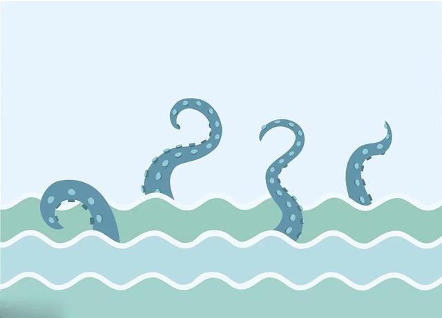 墨鱼乌贼章鱼鱿鱼到底有什么区别,怎么分清章鱼乌贼和鱿鱼