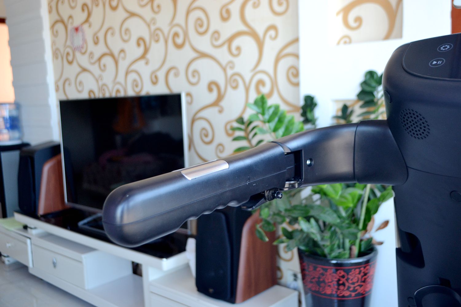 因为老罗入坑!入手了野小兽P30跑步机,坚持了半个月谈谈感受