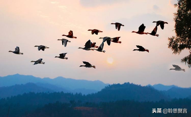 离别词诗词,离别诗词名句精选大全