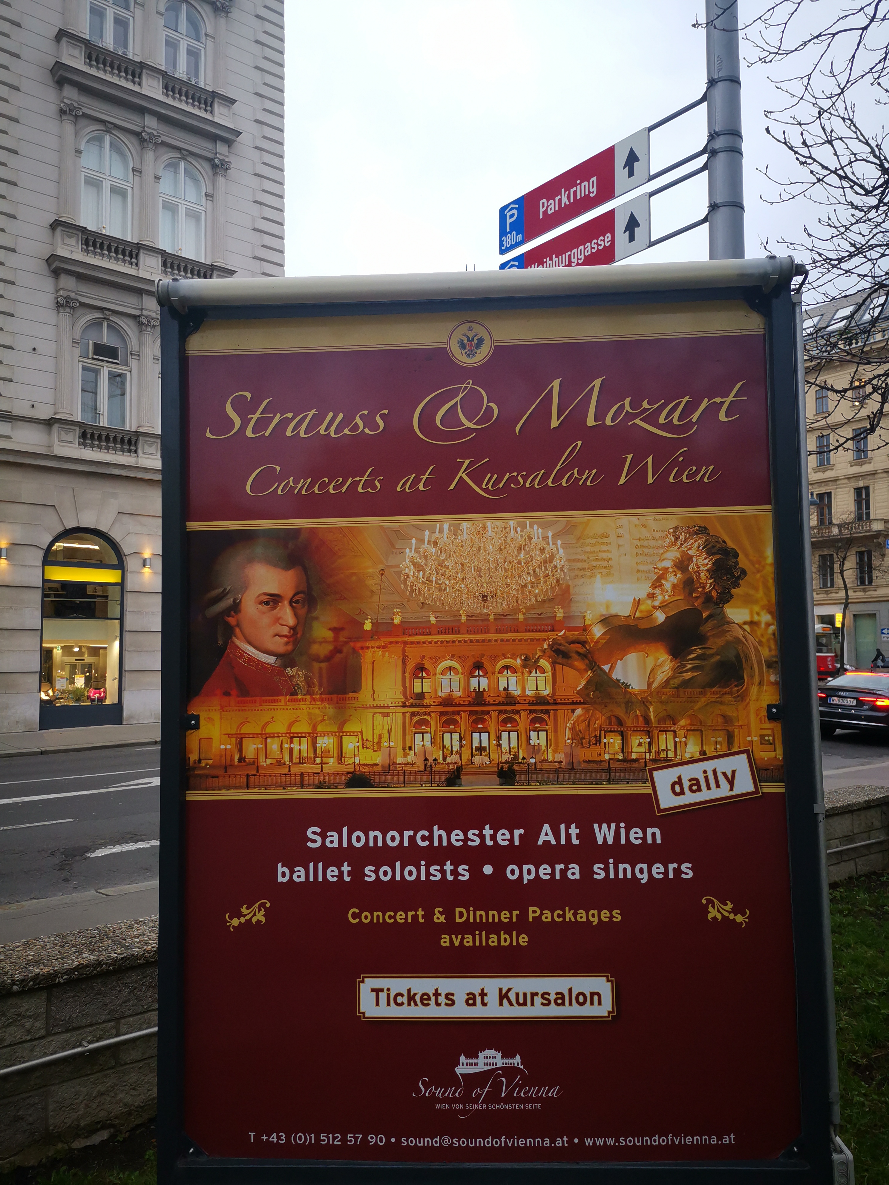 奥地利维也纳演出,奥地利维也纳交响乐团新春音乐会