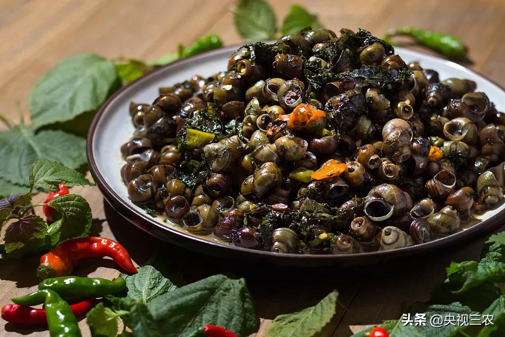 没有什么是一顿田螺解决不了的,没有什么美食可以难倒吃货