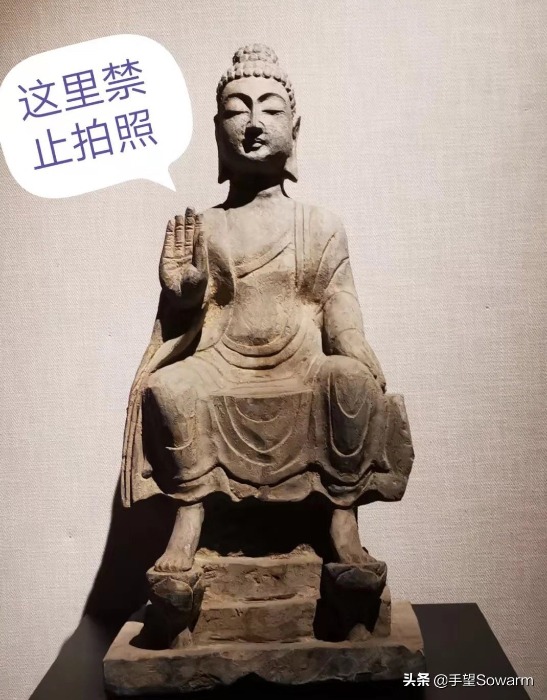 重庆大学博物馆赝品后续怎样,重庆大学赝品博物馆事件追踪