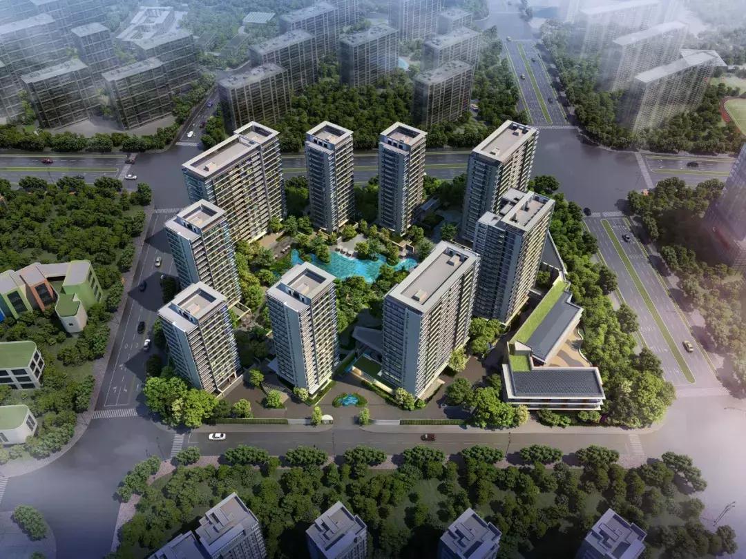 仁恒滨江园2003年价格,仁恒滨江园为什么那么贵