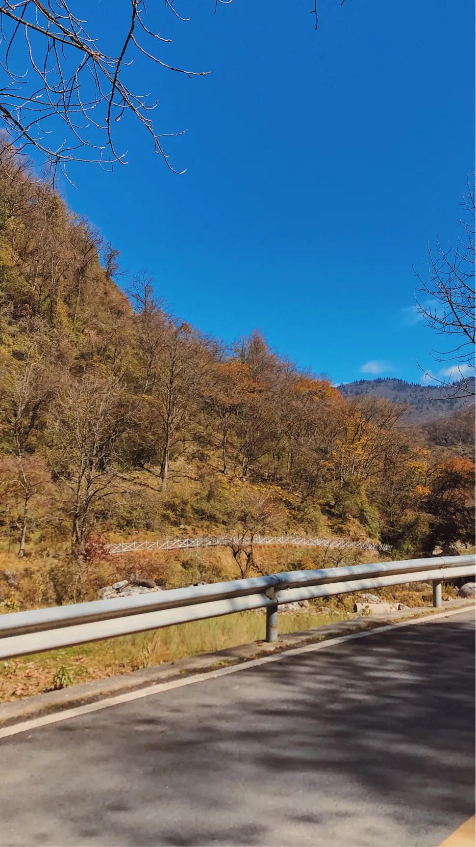 二郎山喇叭河旅游景区成都办事处,二郎山喇叭河风景区好玩儿吗