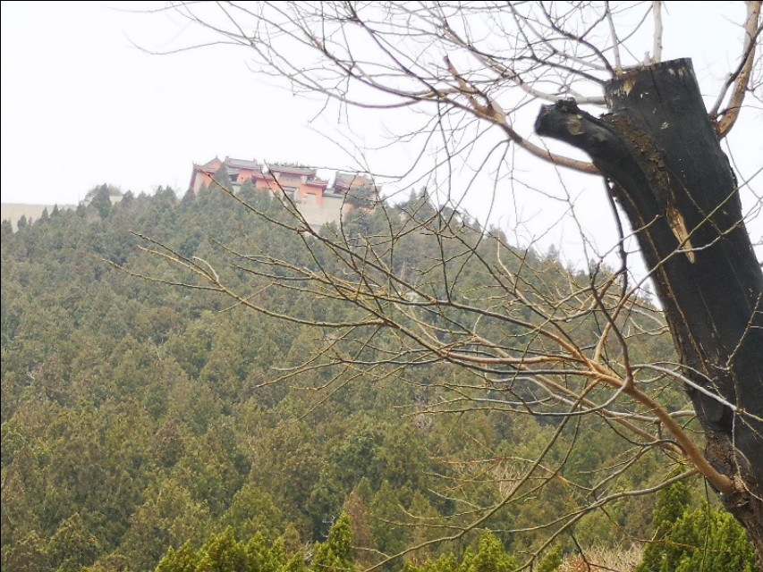 三台山淄川十大免费景点,淄川三台山景区