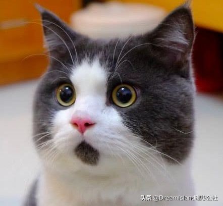 beauty公信榜面膜第一名,平价最好用去角质深层清洁面膜