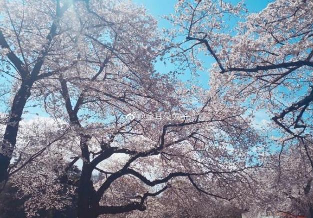 马蓉最新恋情消息,马蓉如何被爆料的