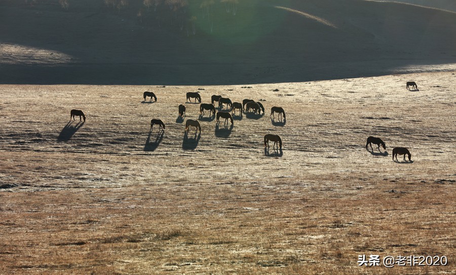 河北草原天路自驾游好玩攻略,内蒙古玩草原最佳路线