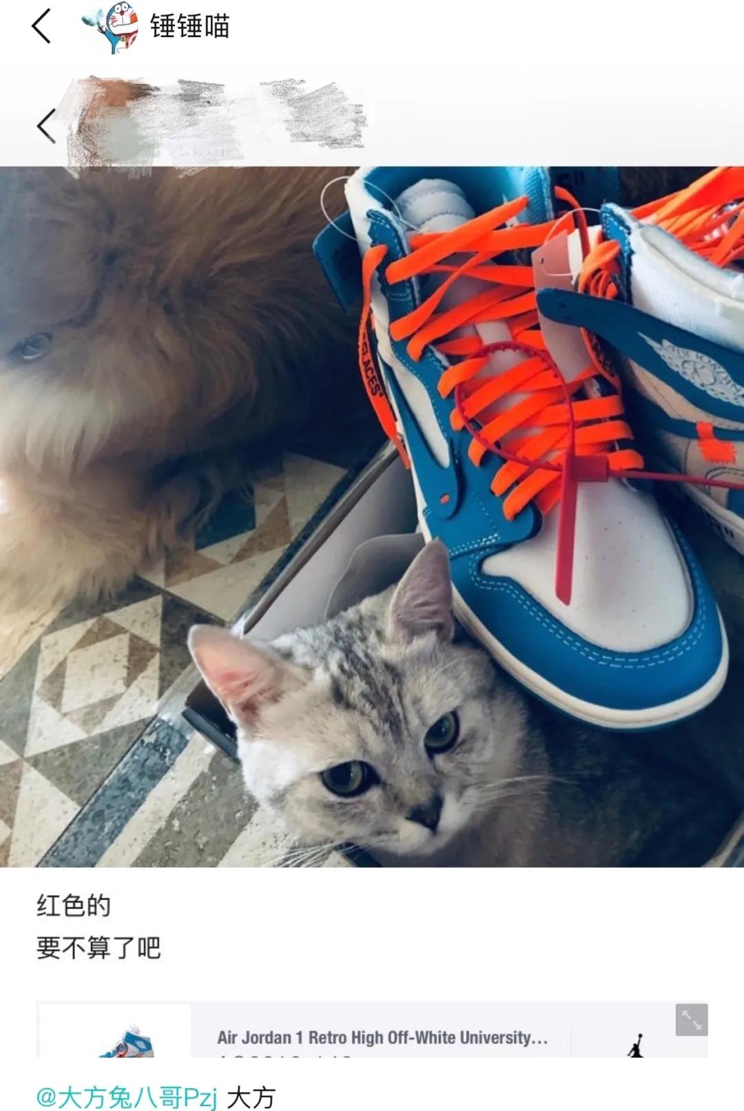 藤原浩鞋子真假,藤原浩梦幻鉴定