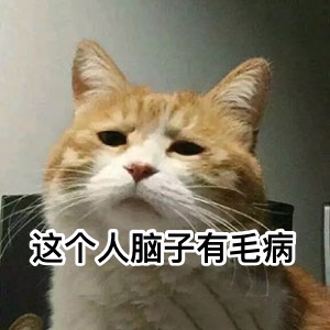 到底是养一只猫好还是养两只,养一只猫好一点还是两只猫好一点