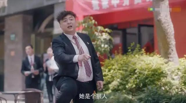 孙俪安家惊艳片段,孙俪安家被吐槽