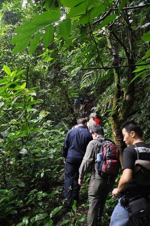 徒步登山的十大禁忌,长期登山的好处和坏处
