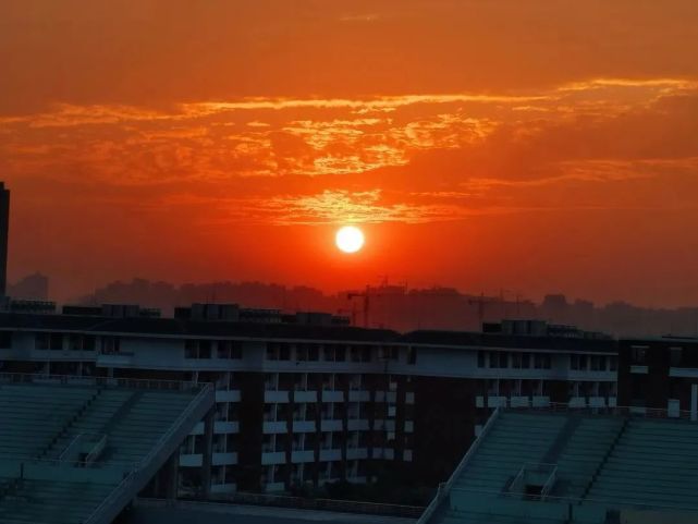 广东岭南职业技术学院2024分数,广东岭南职业技术学院志愿填报