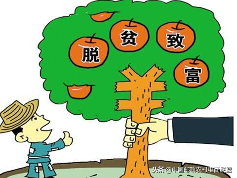 电商进农家怎么样,电商进农村项目效益