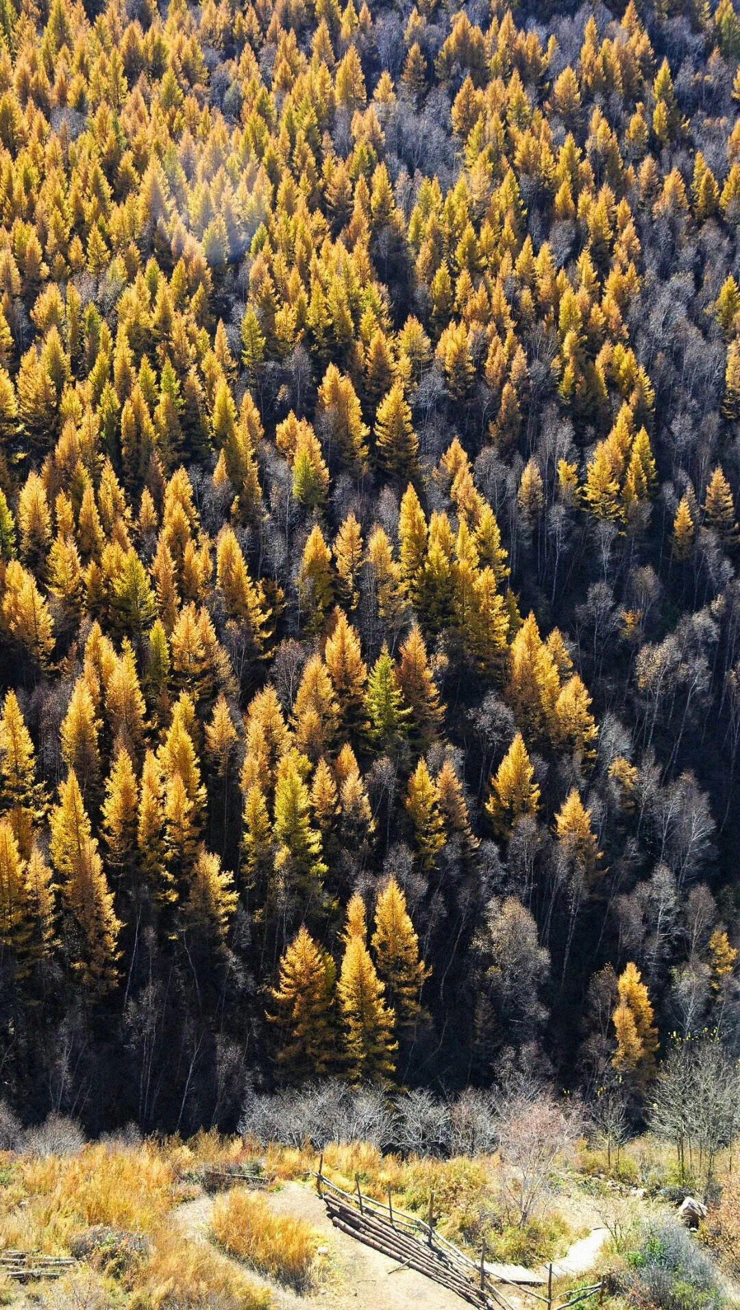 中国大部分区域在北回归线以北,中国的北方有哪些省