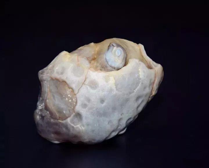 目前最高成交价的奇石,2022年高价成交的奇石有几块