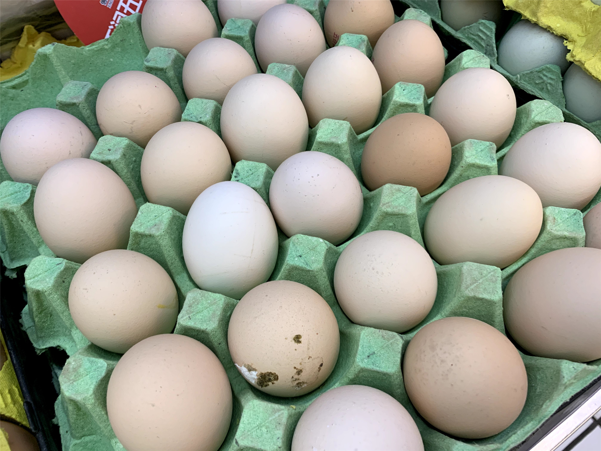 白壳鸡蛋和红壳鸡蛋哪个贵点,买鸡蛋要买壳厚的还是壳薄的