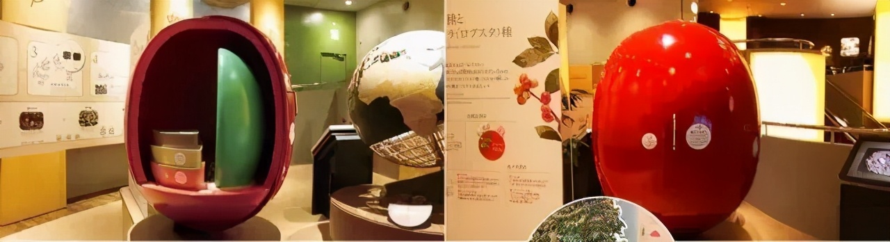 日本美食旅游的兴起,日本美食与风土人情