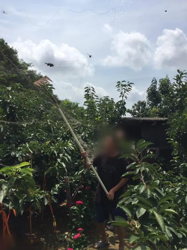 致敬大连社区志愿者,大连护鸟志愿者图片