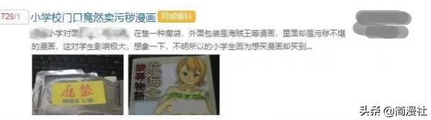 披着《海贼王》外壳卖污秽漫画,腐漫,学校门口的动漫店被处罚了
