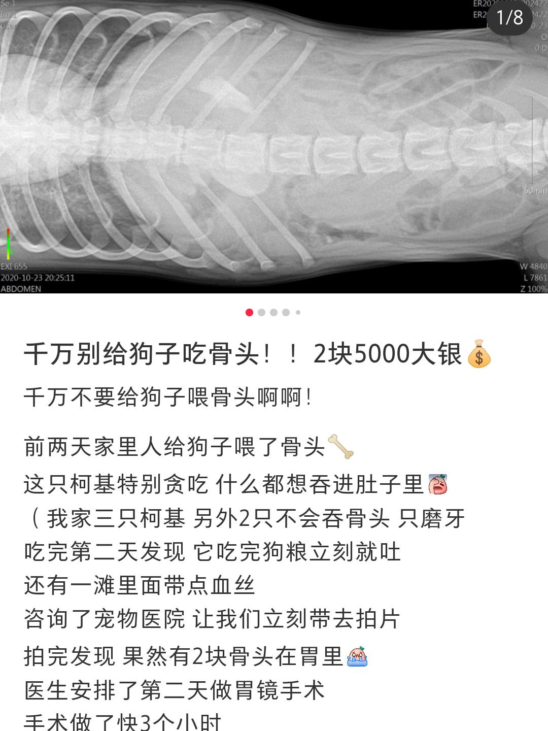 一个多月的小狗吃了骨头死掉了,三个月的小狗吃骨头一定死吗