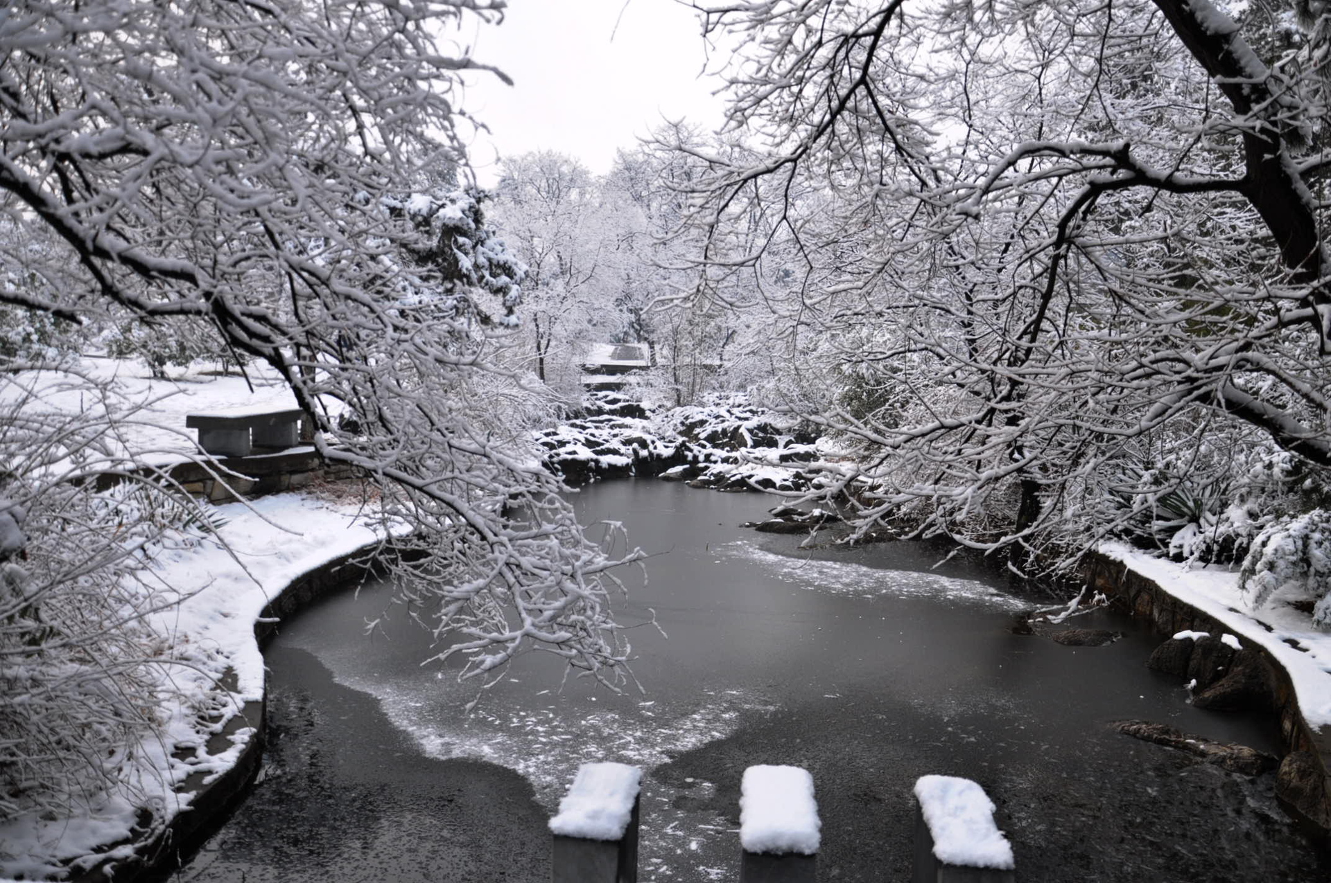 徐州醉美楼兰,徐州醉美火锅鸡