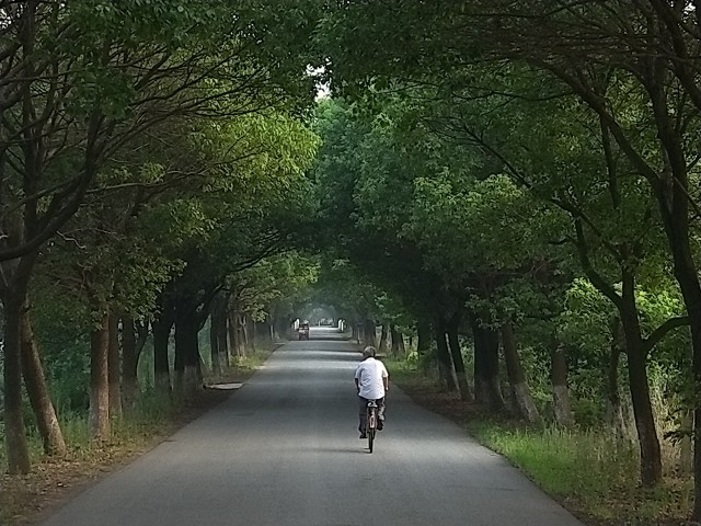 父亲去世后才知道他的良苦用心,父亲去世了才知道养家糊口