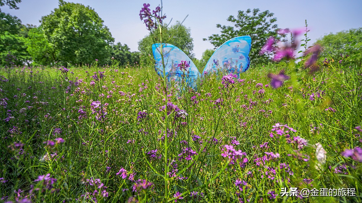 苏州人都不知晓的景点,苏州只有本地人知道的风景区