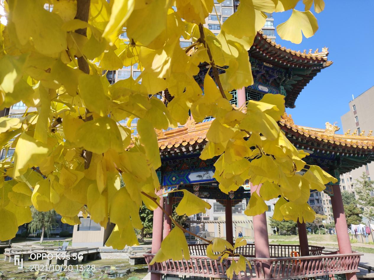 比小米还便宜？上手实测OPPOK9s到底如何