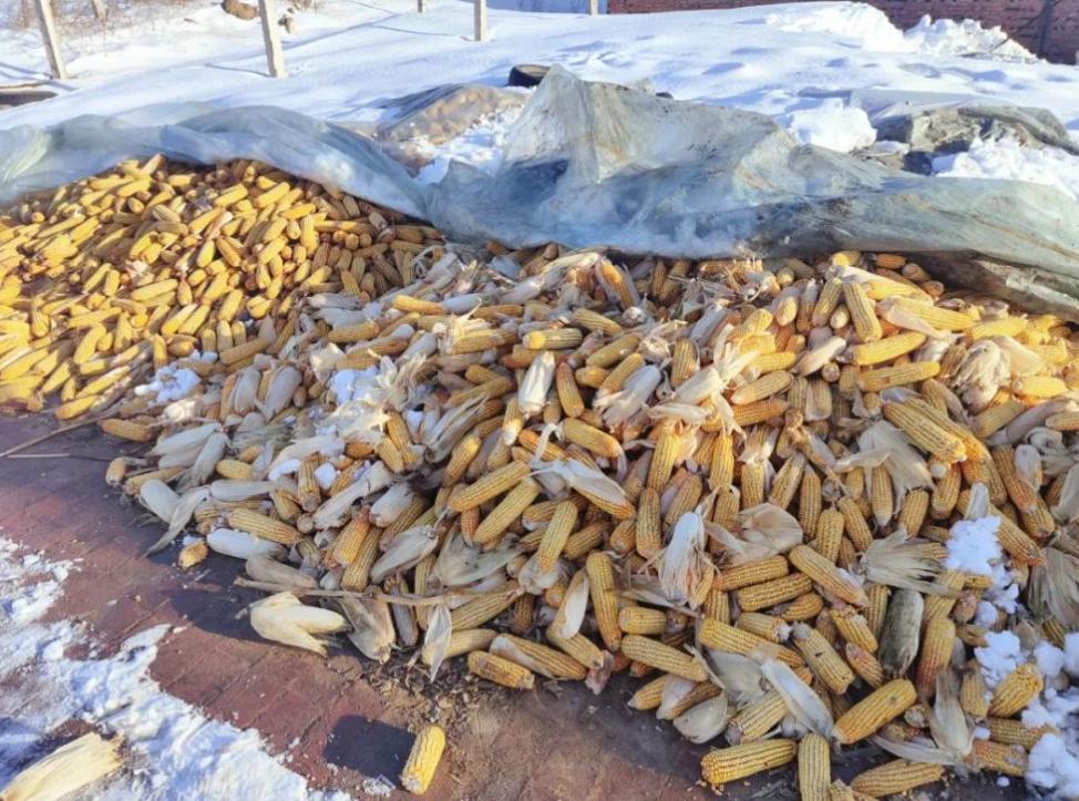 冷空气南下零度线移至长江沿岸,冷空气暴雪最新消息