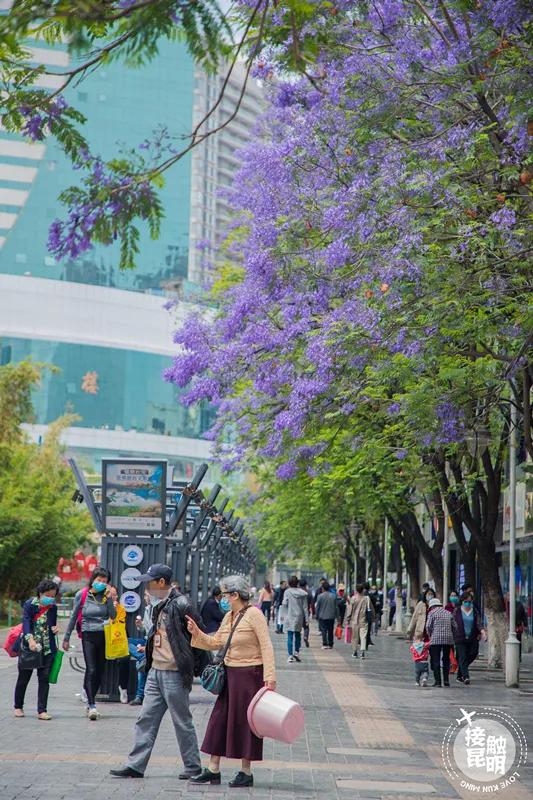 南屏街是市中心吗,昆明南屏街是市中心么