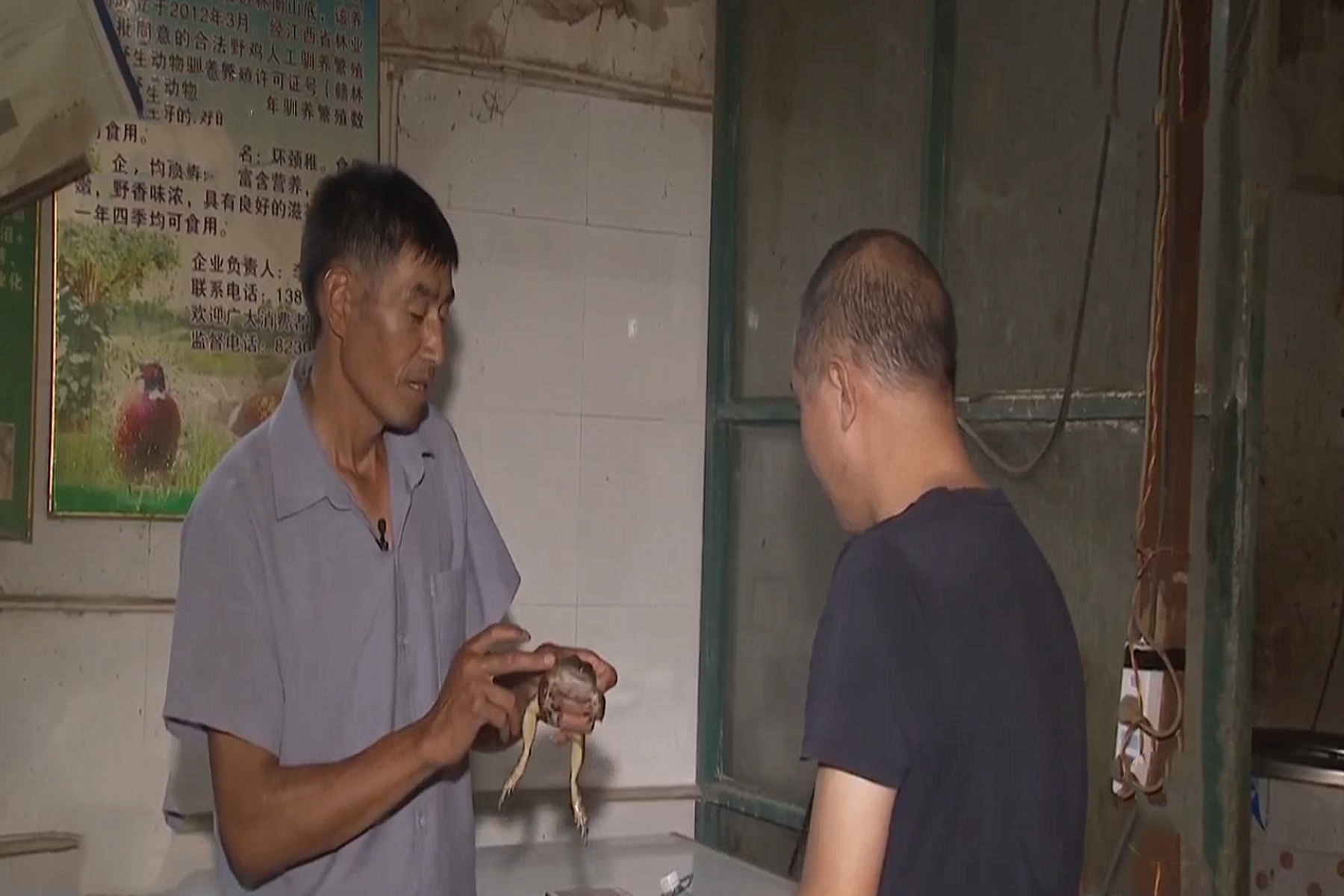 四川小伙被蛇咬在家休养赚3000万,男子被蛇咬后终身残疾