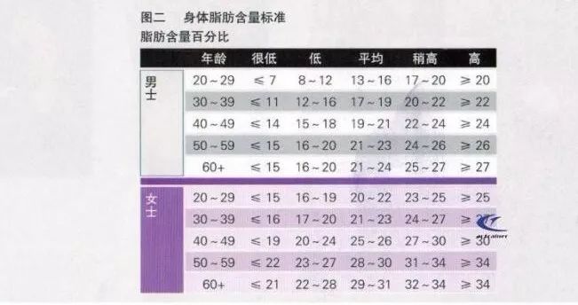 身体脂肪率的计算公式,身体脂肪率低代表什么